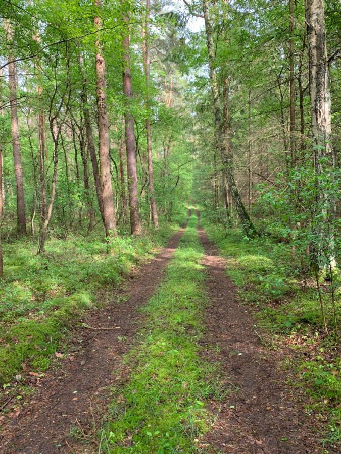 Eldenholz FeWo8 Waren  Eksteriør billede